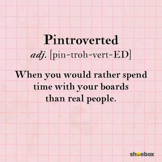 Funny Pintroverted