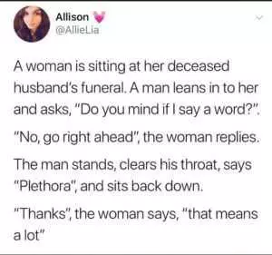 Funny Plethora