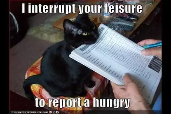 Funny Report A Hungry