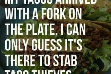 Funny Taco Thieves
