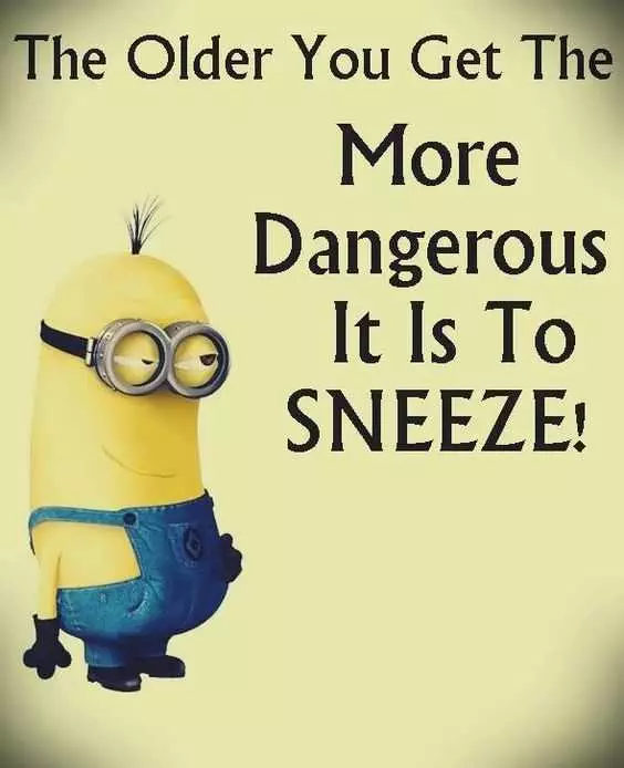 Minion Dangerous Sneeze