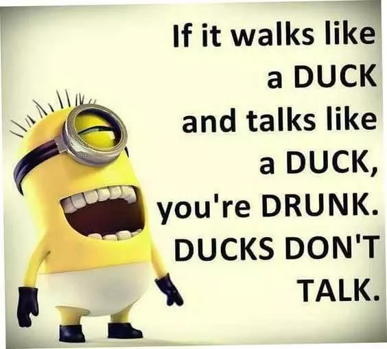 Minion Duck Drunk