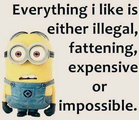 Minion Everything Illegal