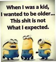 Minion Expected Older