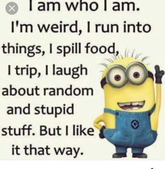 Minion Iam Who Iam