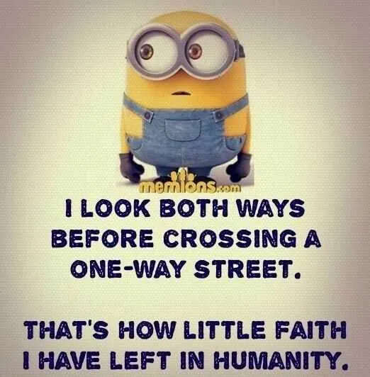 Minion One Way