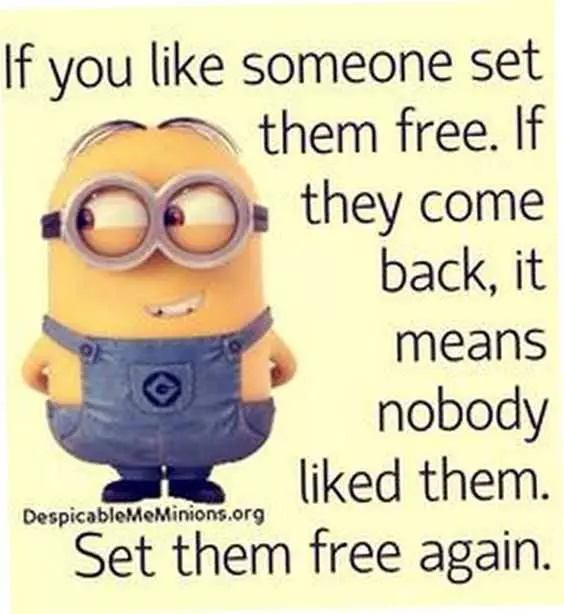 Minion Set Them Free