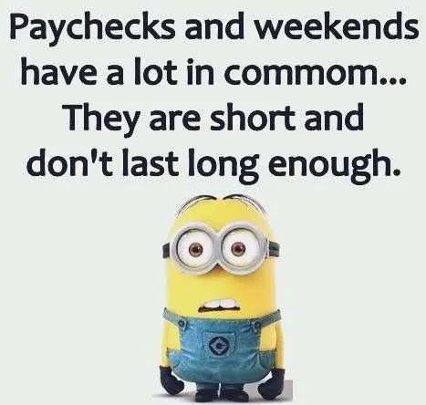 Minion Short Dont Last