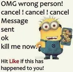 Minion Wrong Person