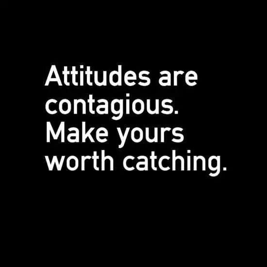Quote Attitudes