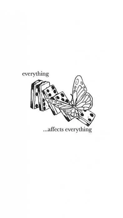 Quote Everything Affects Everything