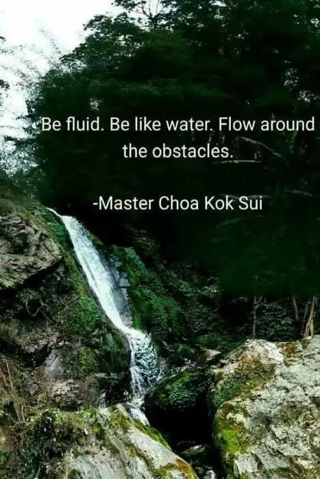 Quote Fluid Obstacles