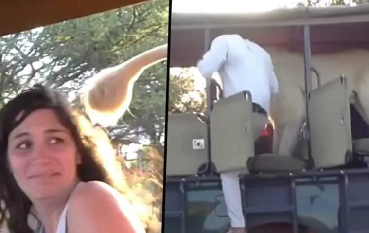 Screen Shot 2018 07 15 At 7.56.09 Pm