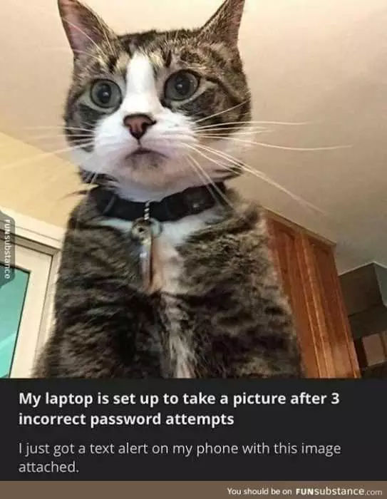 Animal Laptop Password