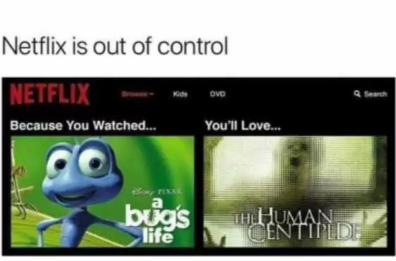 Funny Bugs Life