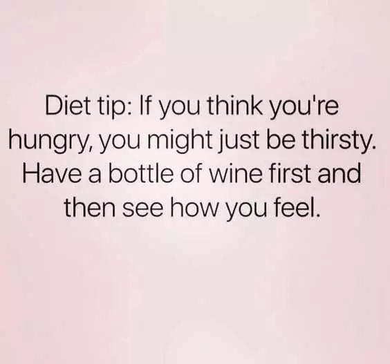 Funny Drink Wine Diet