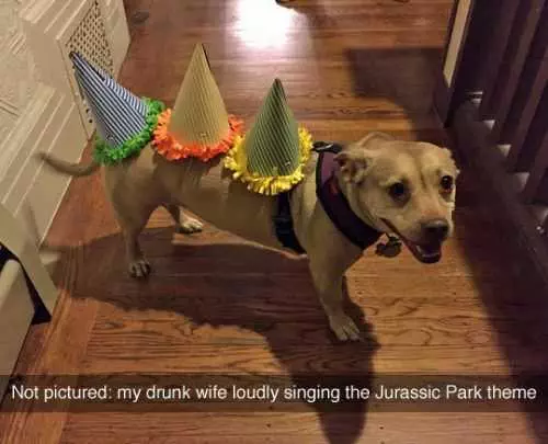 Funny Jurassic Park