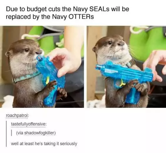 Funny Navy Otters