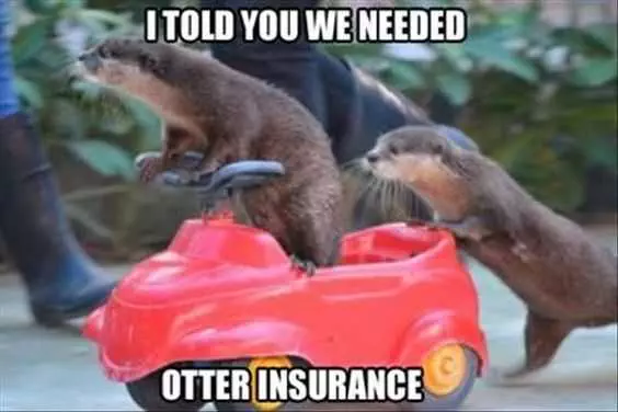 Funny Otter Insurance