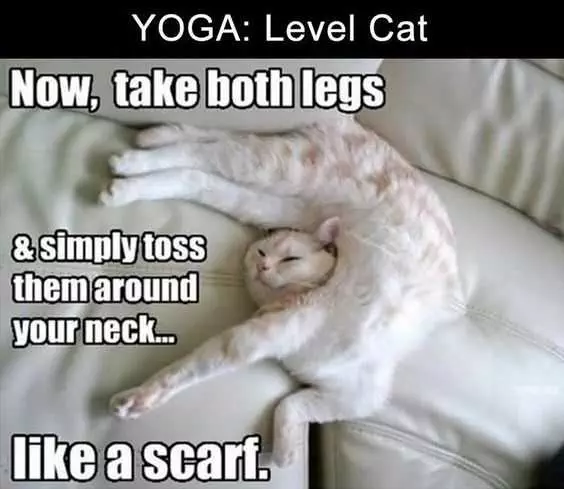 Funny Yoga Level