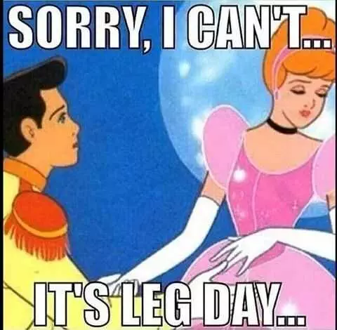 Meme Leg Day Cinderella