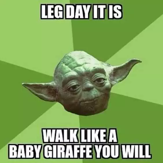 Meme Leg Day It Is