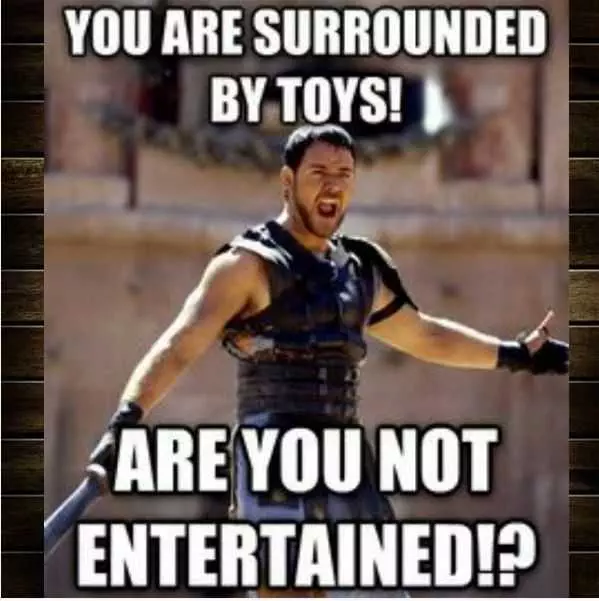 Meme Surrounded By Toys
