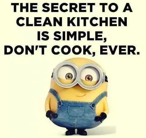 Minion Dont Cook Ever