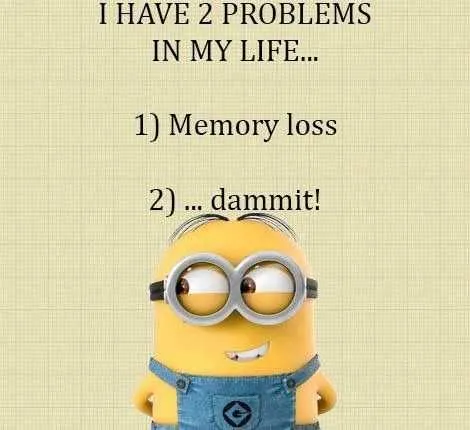 Minion Memory Loss