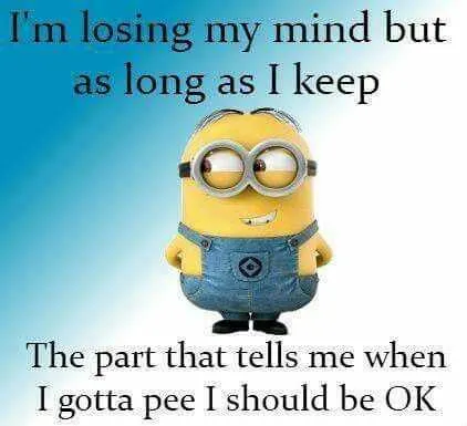 Minion Ok