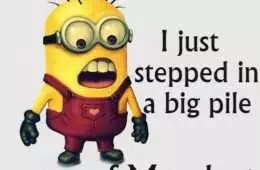 Minion Stepped In Monday