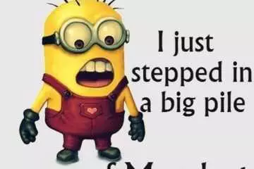 Minion Stepped In Monday