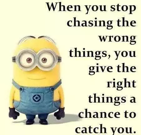 Minion Stop Chasing