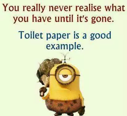 Minion Toilet Paper