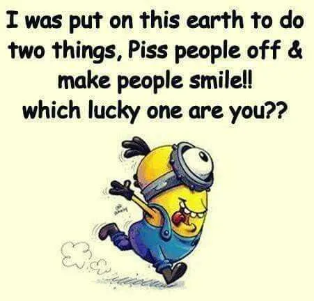 Minion Two Reasons