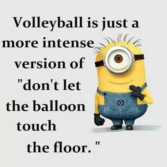 Minion Volley Ball