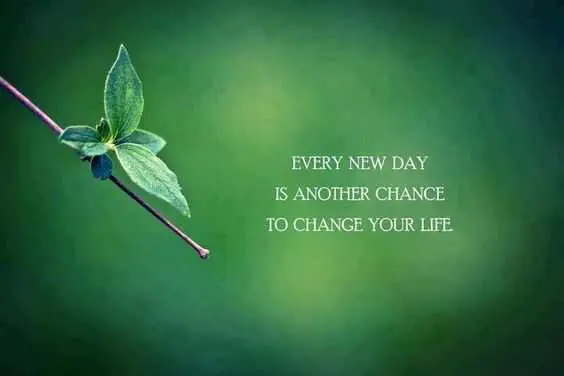 Quote New Change
