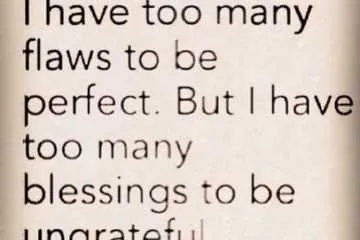 Quote Too Many Flaws