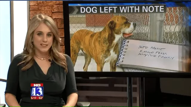 Rhino Is A Striped Dream’ Dog Left At Utah Shelter With List Of Instructions From Heartbroken Child 0 2 Screenshot