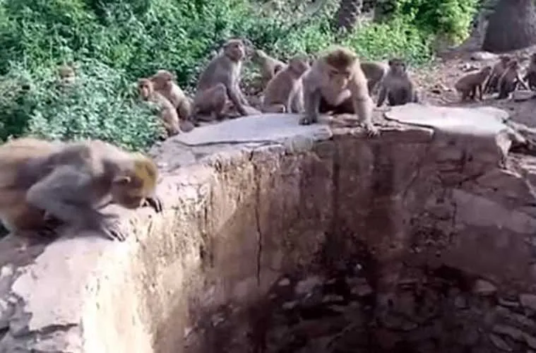 Screen Shot 2018 08 08 At 1.51.46 Pm