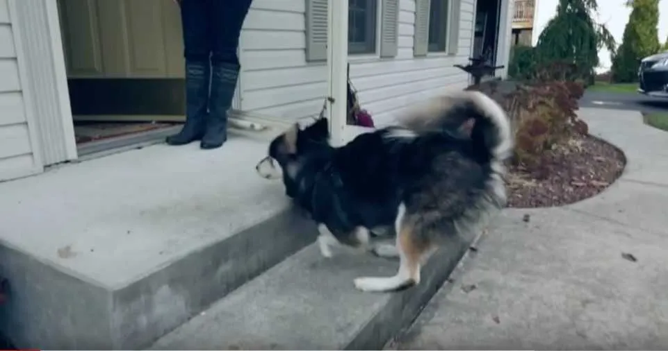 Screen Shot 2018 08 08 At 4.52.31 Pm