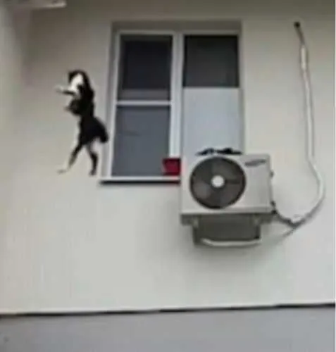 Screen Shot 2018 08 20 At 1.34.06 Am