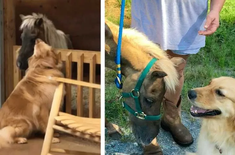 Screen Shot 2018 08 20 At 11.30.32 Pm