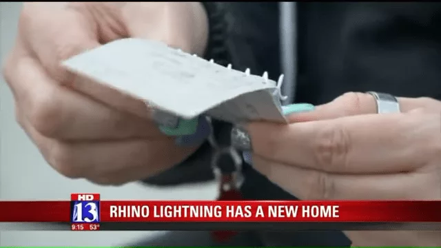 Utah Dog ‘Rhino Lightning’ Finds New Home After Note From Child Goes Viral 0 14 Screenshot