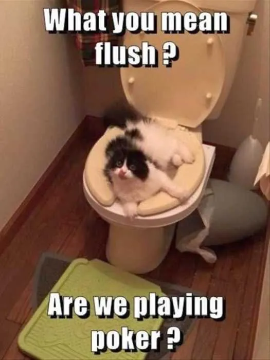 Animal Flush