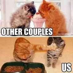 Animal Other Couples