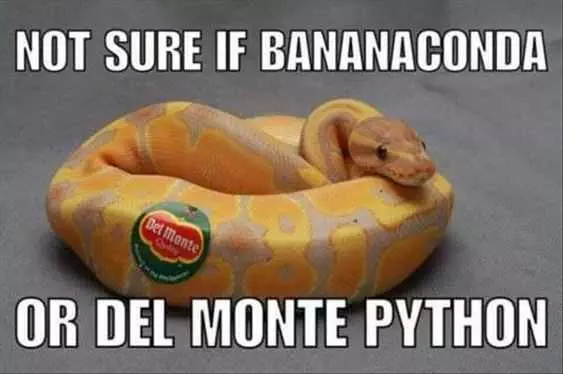 Funny Banana Snake