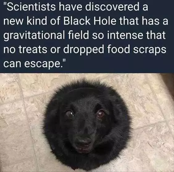 Funny Black Hole