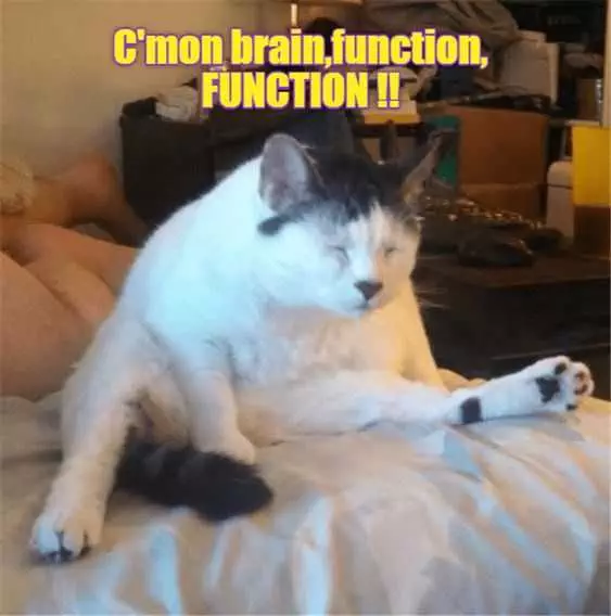 Funny Brain Function