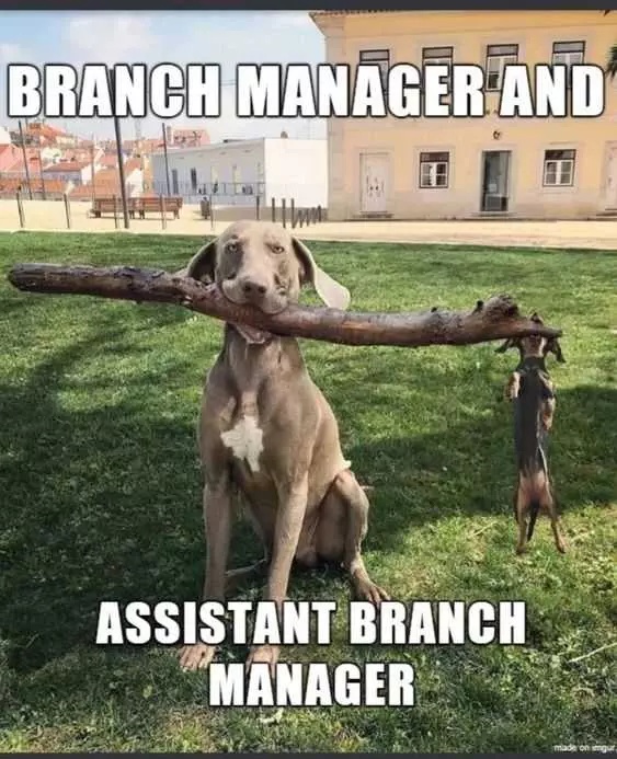 Funny Branch Manager